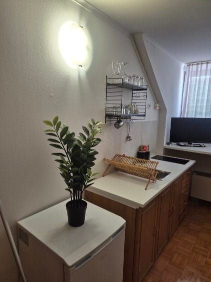 Apartma Roglina – Apartma Roglina (6)