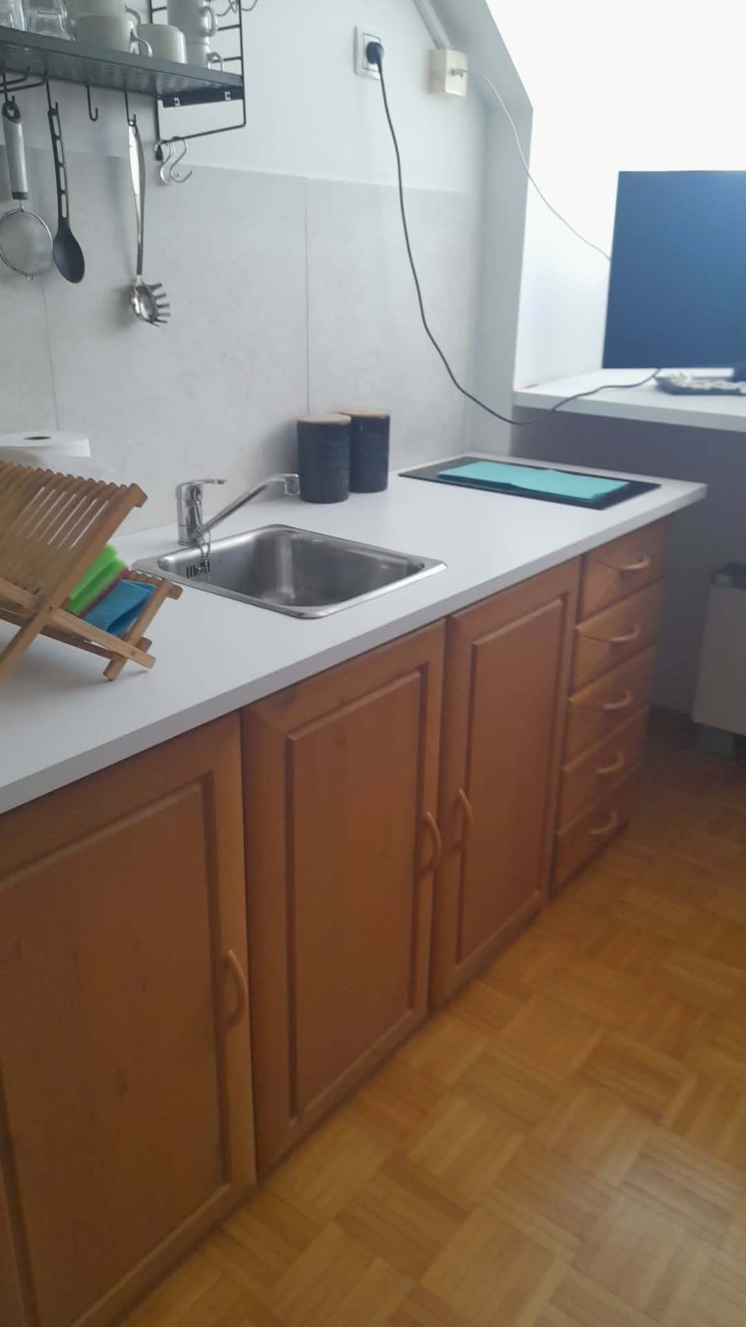Apartma Roglina – Apartma Roglina (9)